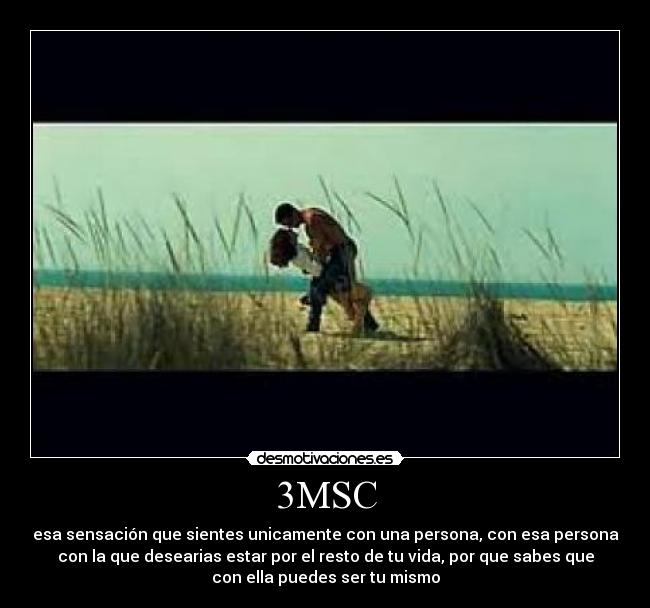 3MSC - 