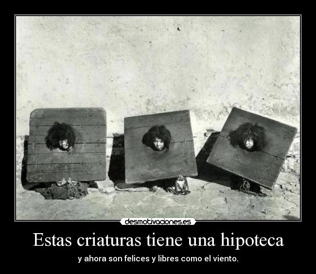 Estas criaturas tiene una hipoteca - y ahora son felices y libres como el viento.