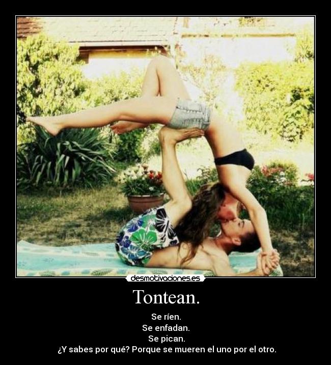 Tontean. - Se ríen.
Se enfadan.
Se pican.
¿Y sabes por qué? Porque se mueren el uno por el otro.