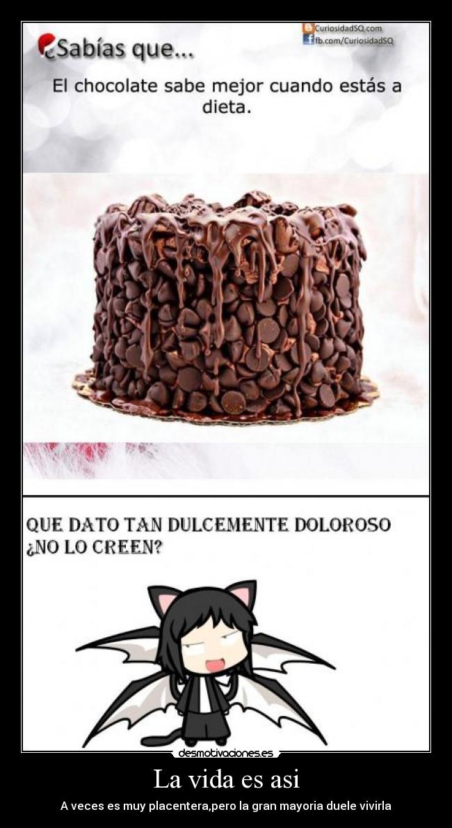 La vida es asi - A veces es muy placentera,pero la gran mayoria duele vivirla