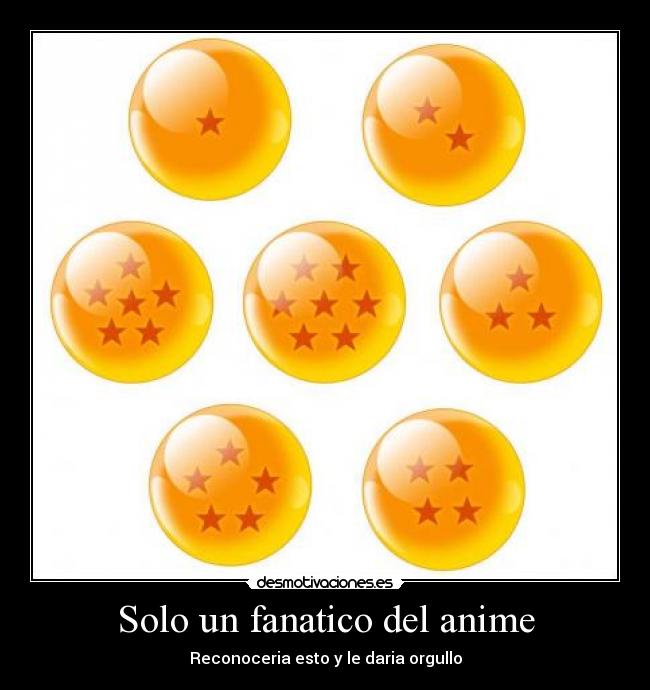 Solo un fanatico del anime -