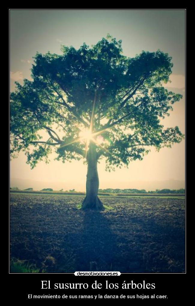 El susurro de los árboles - El movimiento de sus ramas y la danza de sus hojas al caer.