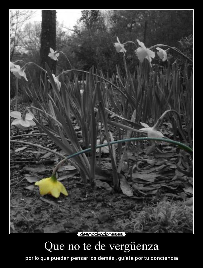 Que no te de vergüenza - por lo que puedan pensar los demás , guíate por tu conciencia