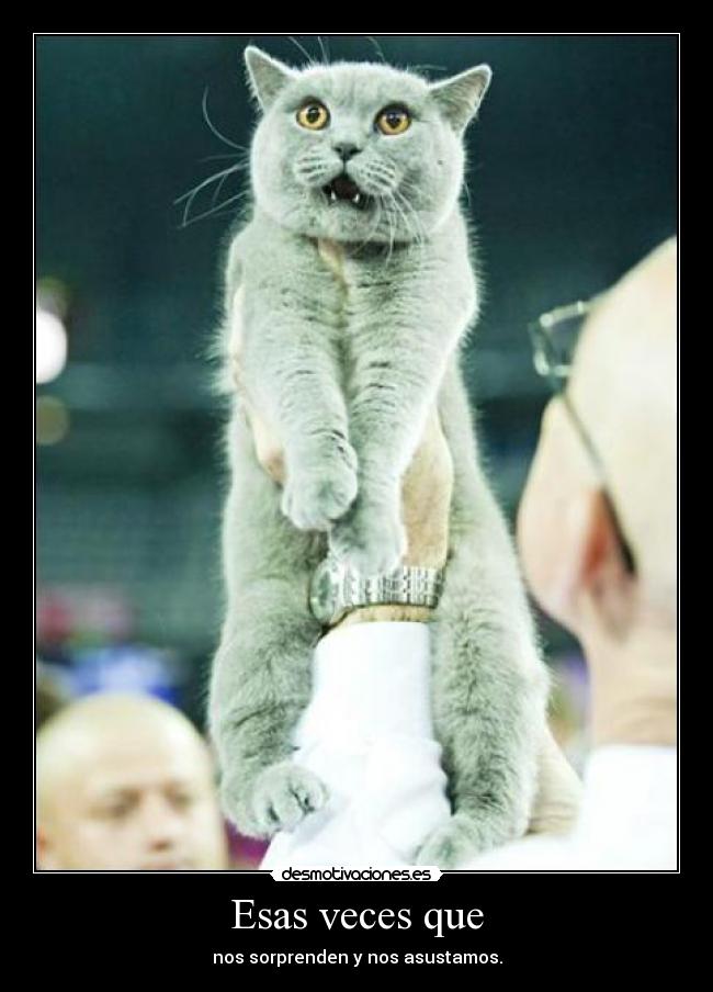 Esas veces que - nos sorprenden y nos asustamos.