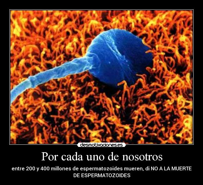 Por cada uno de nosotros -