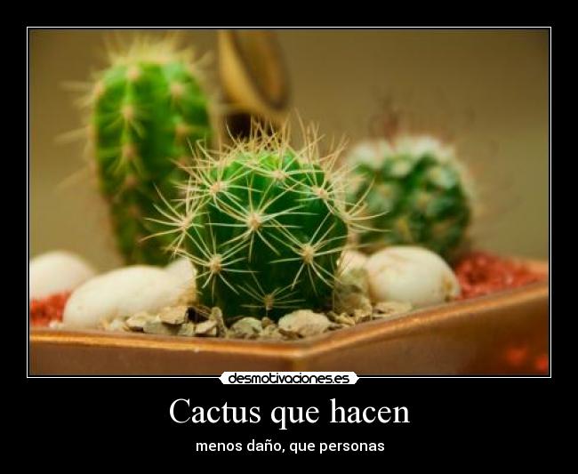 Cactus que hacen - menos daño, que personas