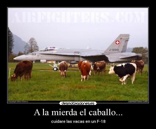 A la mierda el caballo... -
