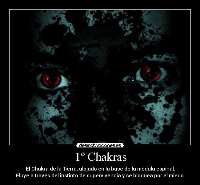 1º Chakras - El Chakra de la Tierra, alojado en la base de la médula espinal.
Fluye a través del instinto de supervivencia y se bloquea por el miedo.