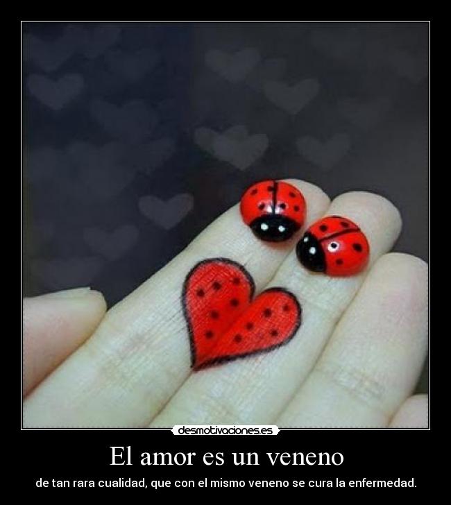 El amor es un veneno - de tan rara cualidad, que con el mismo veneno se cura la enfermedad.