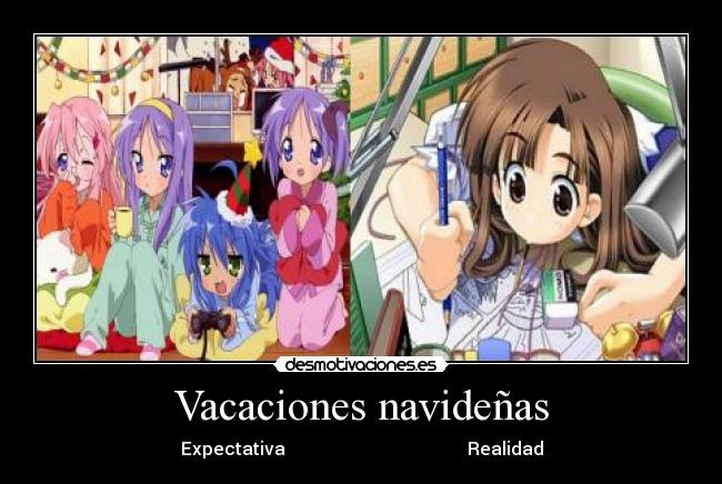 Vacaciones navideñas - Expectativa                                         Realidad