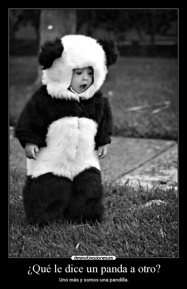 carteles slipkdemon intruders clandesplazado clanhorde catkillers desmo02 panda pandilla desmotivaciones