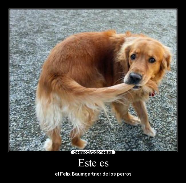 carteles creo que soy unico que escrito bien desmotivaciones