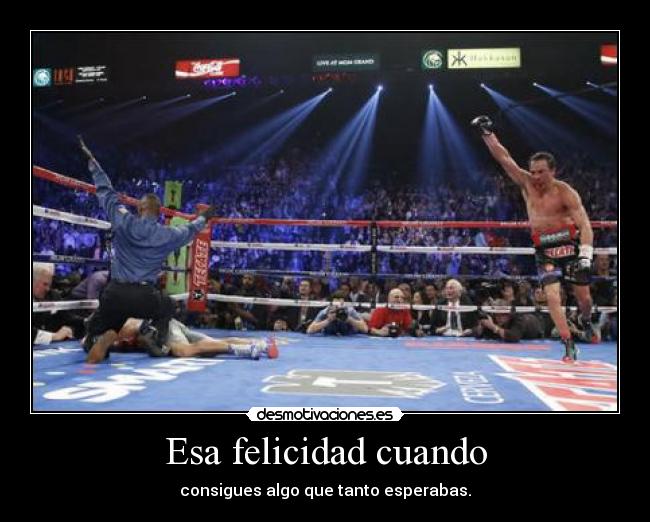 carteles felicidad conseguir algo desmotivaciones