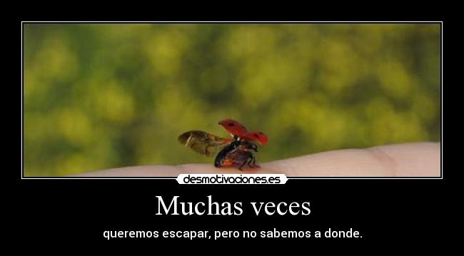 Muchas veces - queremos escapar, pero no sabemos a donde.