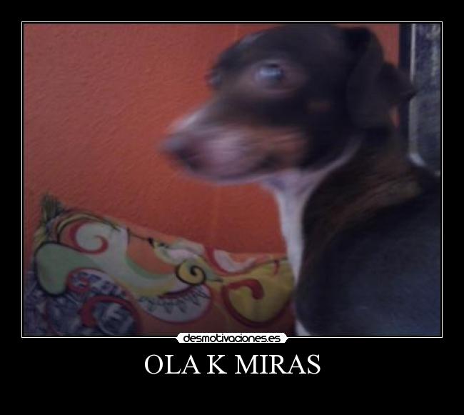 OLA K MIRAS - 