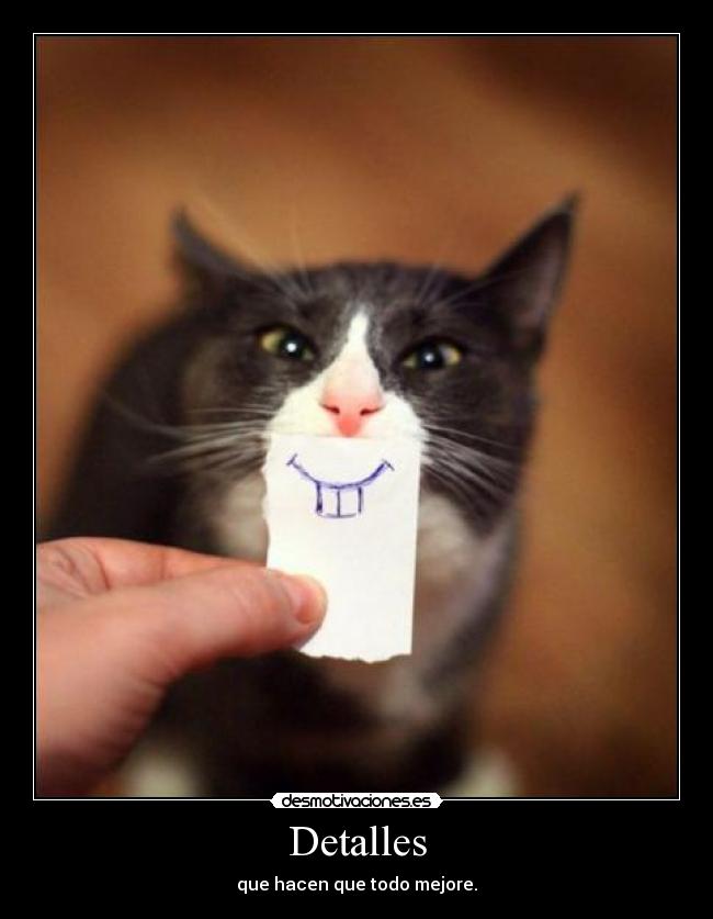 carteles mimamamemima ariadnec dice hola desmotivaciones