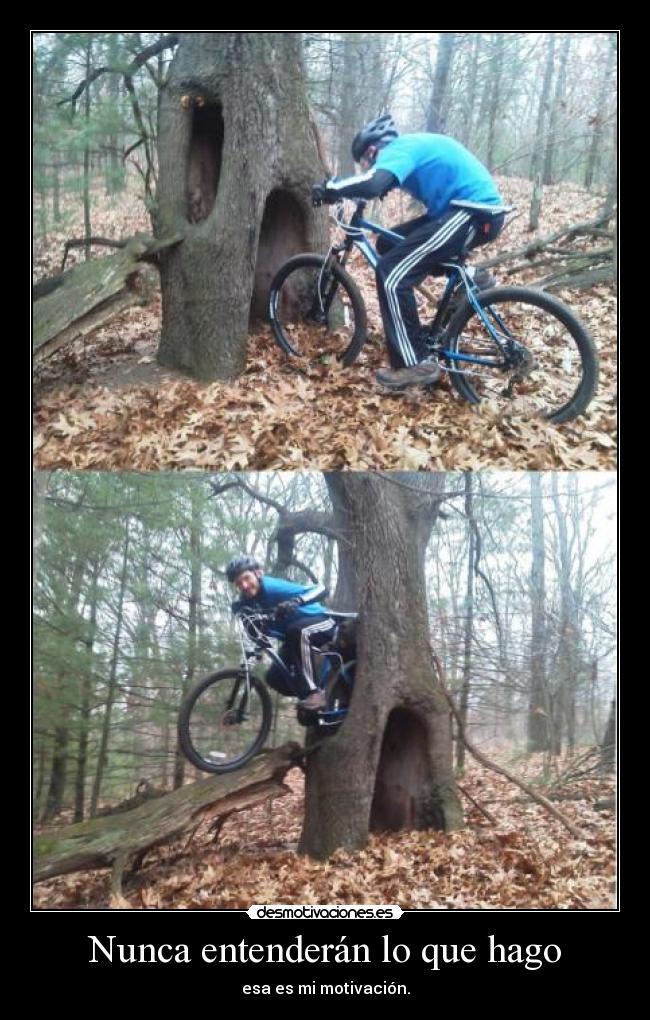 carteles mimamamemima ariadnec dice hola jiji desmotivaciones