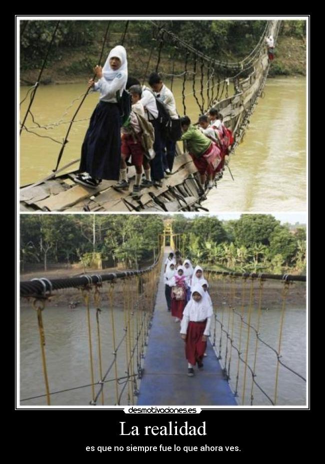 carteles mimamamemima ariadnec dice hola clantheblackcat racismo los gatos negros uwu desmotivaciones