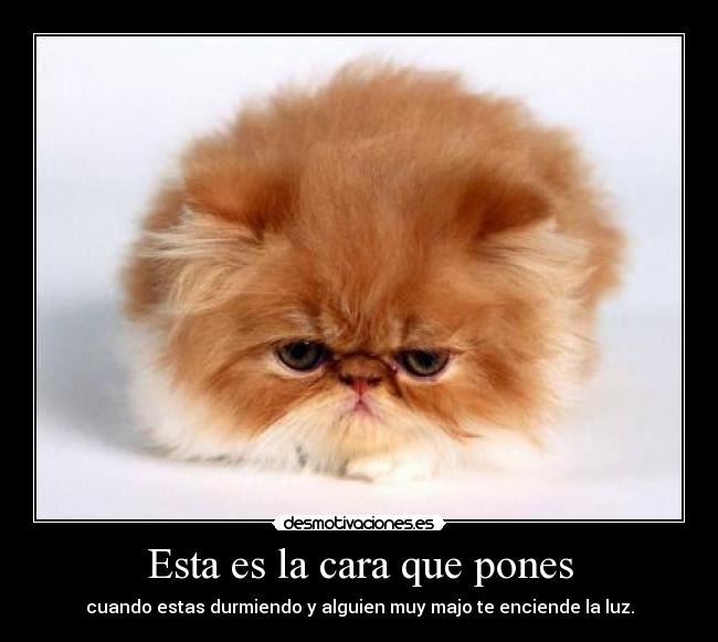 Esta es la cara que pones -