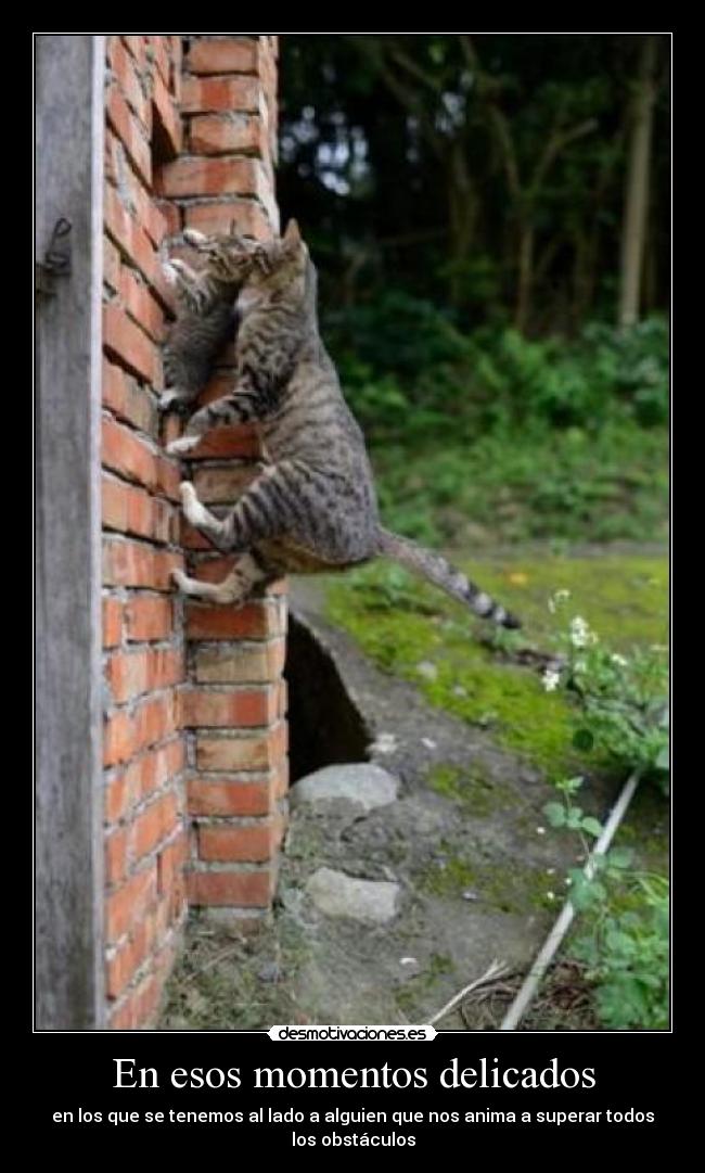 En esos momentos delicados -