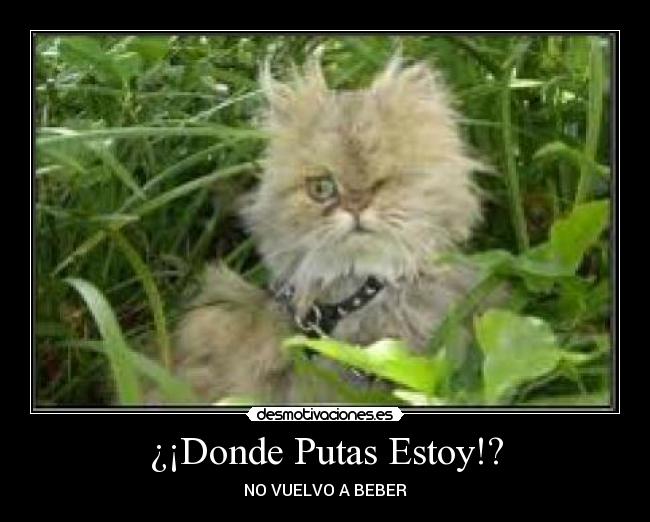 ¿¡Donde Putas Estoy!? - NO VUELVO A BEBER