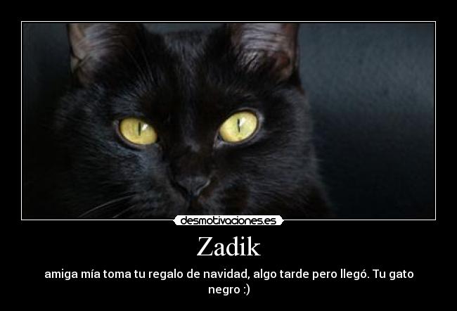 Zadik - amiga mía toma tu regalo de navidad, algo tarde pero llegó. Tu gato negro :)
