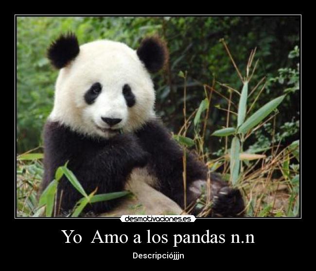 carteles pandas desmotivaciones