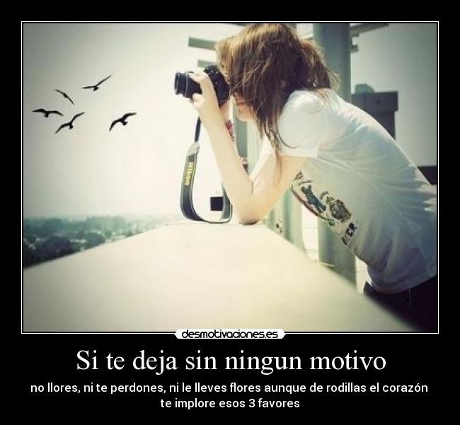 Si te deja sin ningun motivo - no llores, ni te perdones, ni le lleves flores aunque de rodillas el corazón 
te implore esos 3 favores