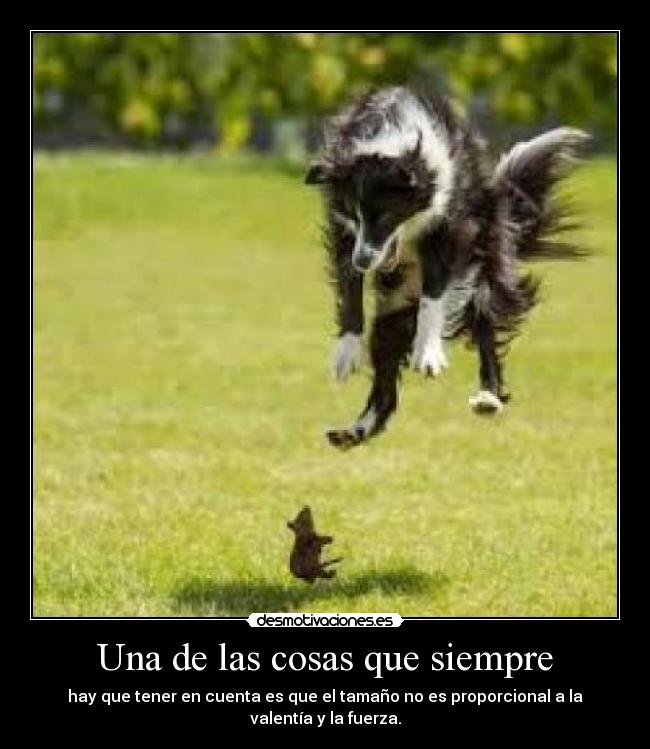 Una de las cosas que siempre -