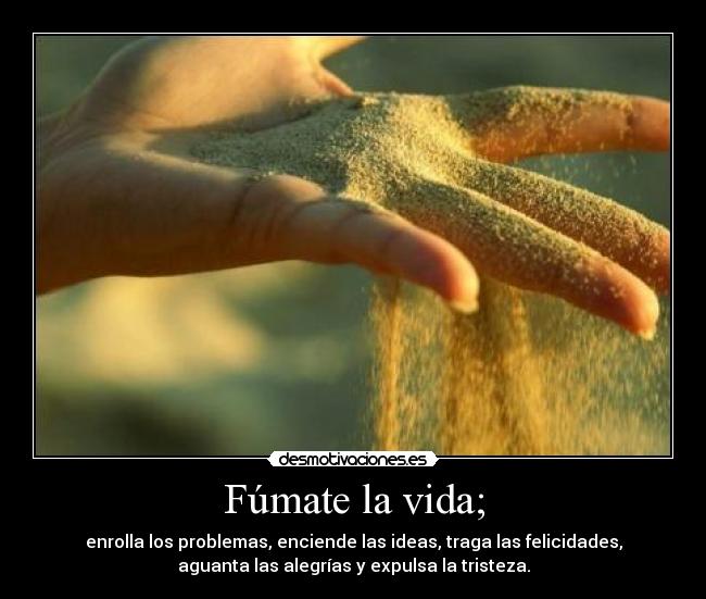 carteles vida licutzz desmotivaciones