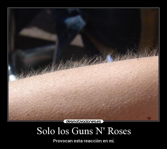 Solo los Guns N Roses -