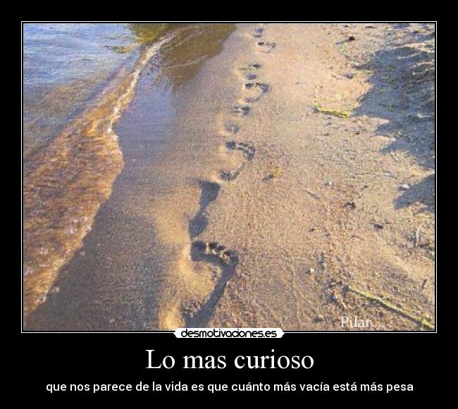 Lo mas curioso - 