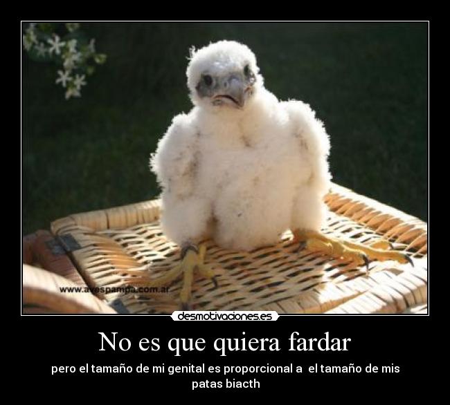 No es que quiera fardar - pero el tamaño de mi genital es proporcional a el tamaño de mis patas biacth