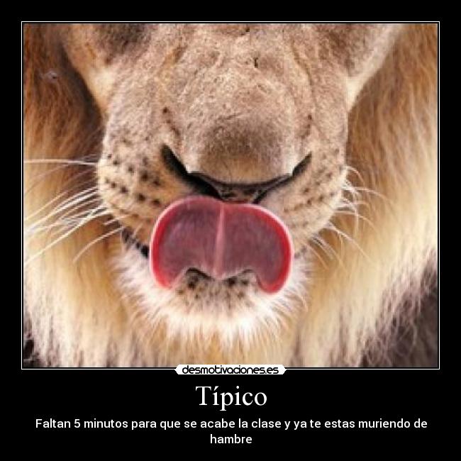 Típico - Faltan 5 minutos para que se acabe la clase y ya te estas muriendo de hambre