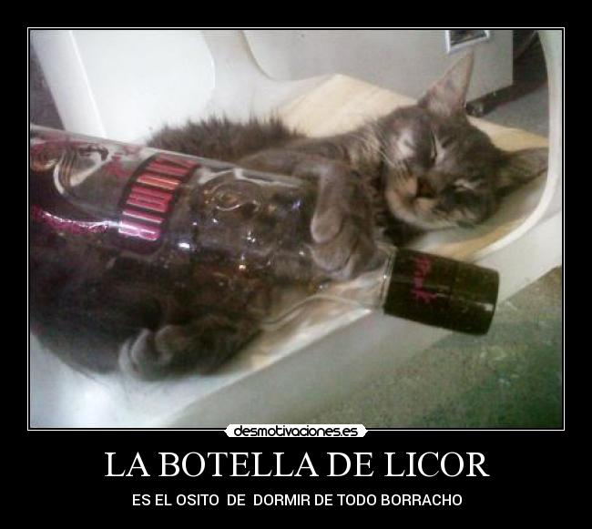 LA BOTELLA DE LICOR - ES EL OSITO DE DORMIR DE TODO BORRACHO
