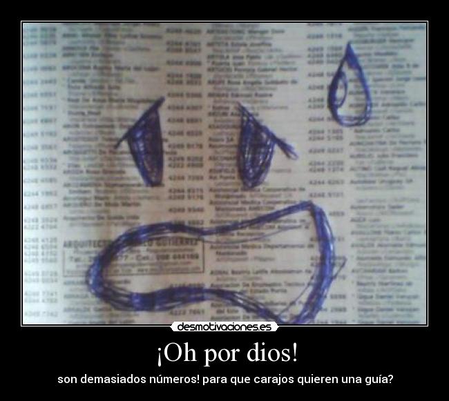 ¡Oh por dios! - son demasiados números! para que carajos quieren una guía?