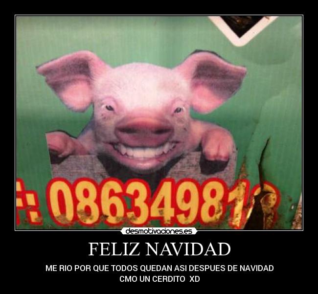 FELIZ NAVIDAD - ME RIO POR QUE TODOS QUEDAN ASI DESPUES DE NAVIDAD
CMO UN CERDITO  XD