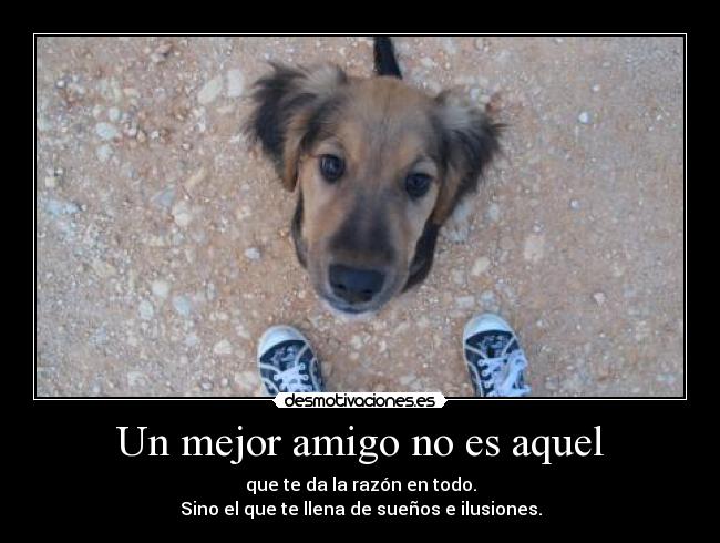 Un mejor amigo no es aquel - 