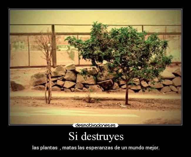 Si destruyes - las plantas  , matas las esperanzas de un mundo mejor.
