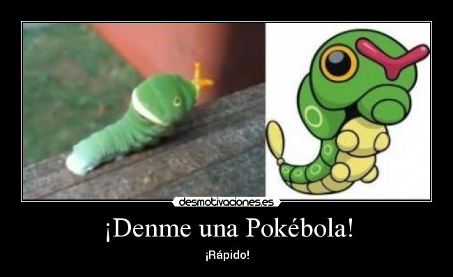 carteles caterpie eres desmotivaciones