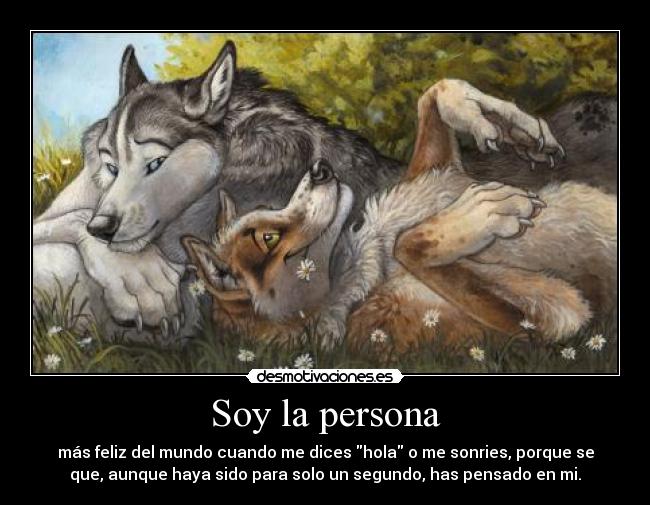 carteles blotch amor perros dog desmotivaciones