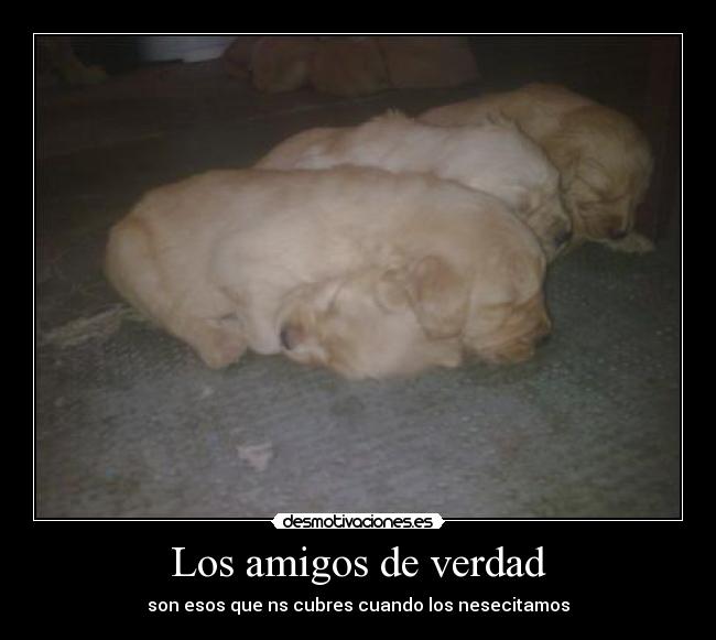 Los amigos de verdad - son esos que ns cubres cuando los nesecitamos