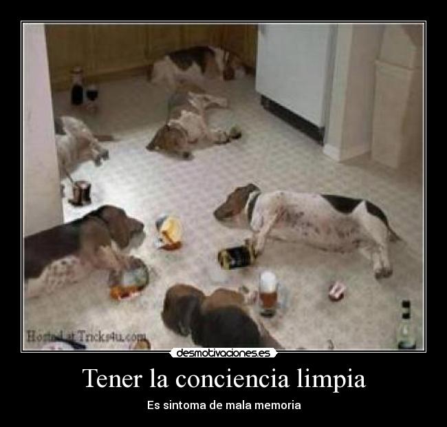 Tener la conciencia limpia - 