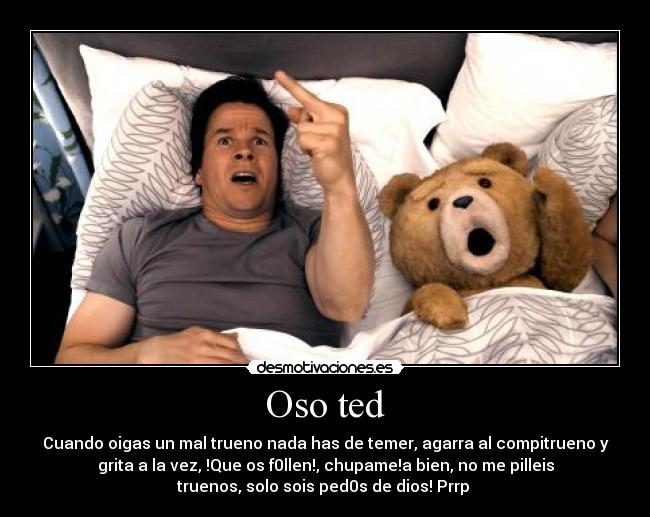 carteles oso ted desmotivaciones