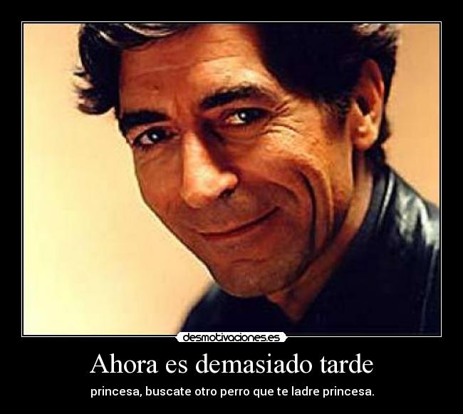 Ahora es demasiado tarde -