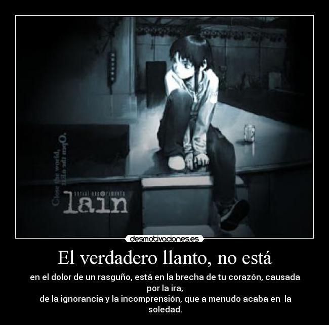 carteles dolor llanto ignorancia incomrension soledad ira odio experimental lain desmotivaciones