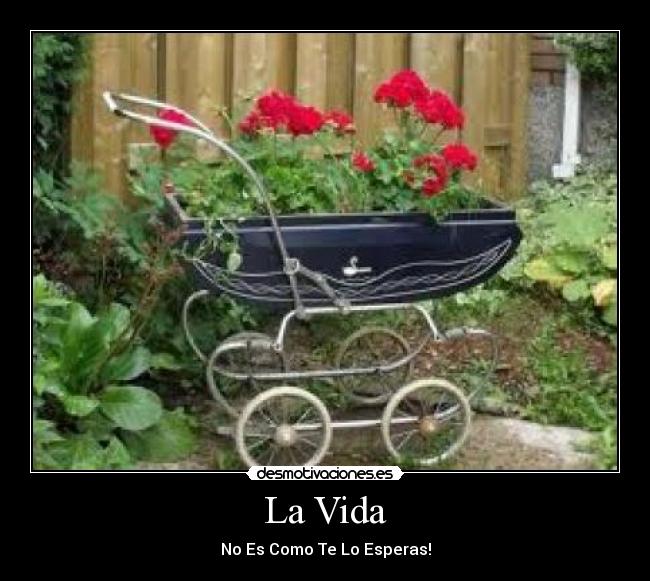 La Vida -