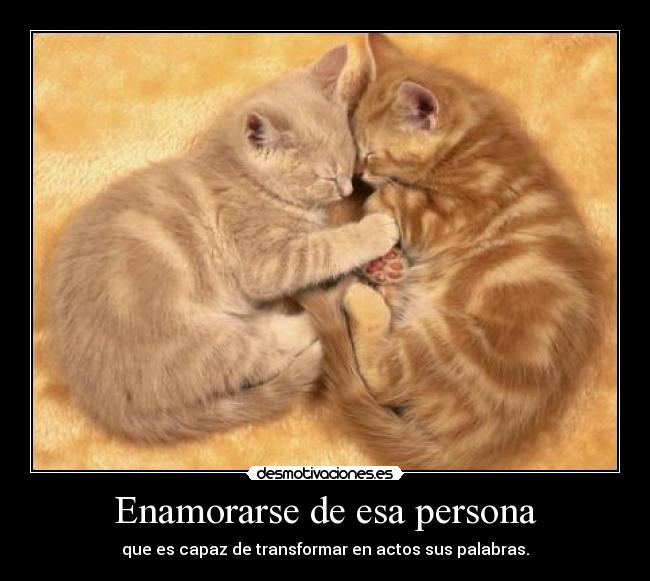 Enamorarse de esa persona - que es capaz de transformar en actos sus palabras.