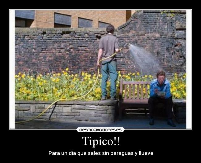 Tipico!! -