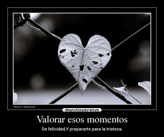 Valorar esos momentos - De felicidad,Y prepararte para la tristeza.
